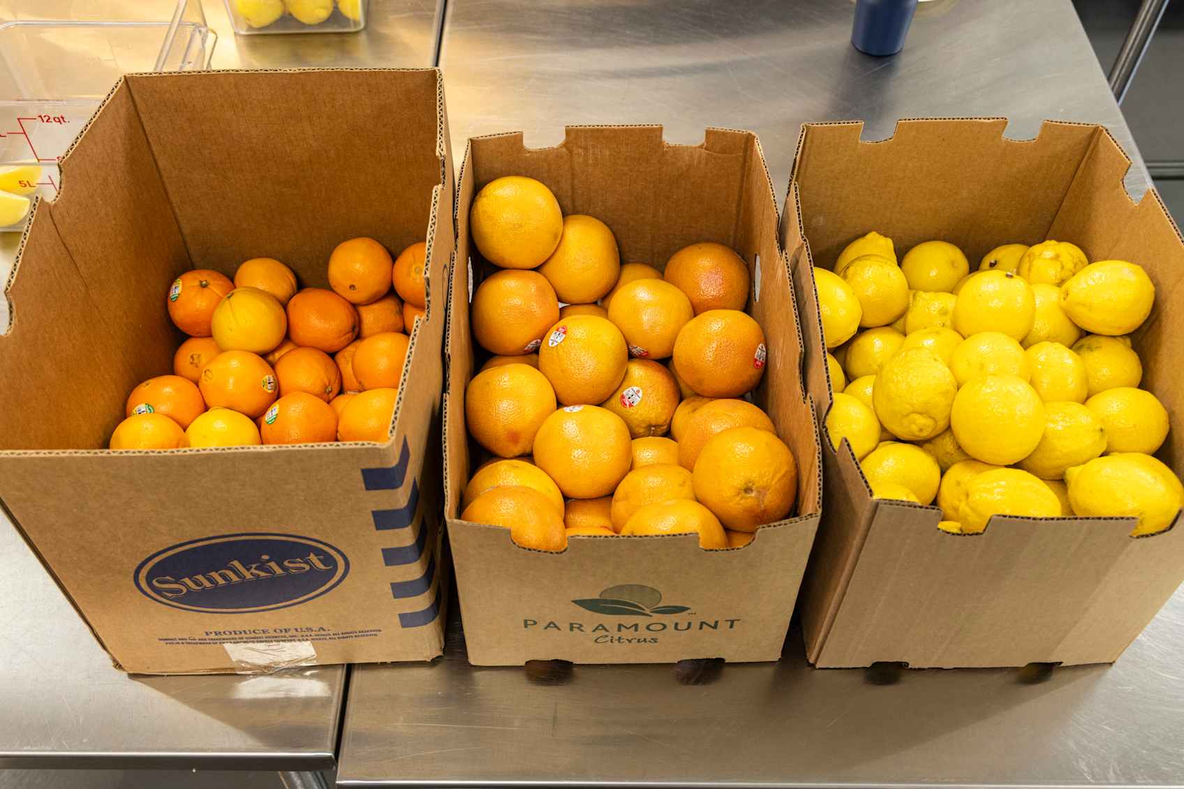 3 cardboard boxes half-full of oranges, grapefruit, and lemons on a stainless steel counter. 